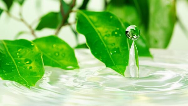 サステナビリティ