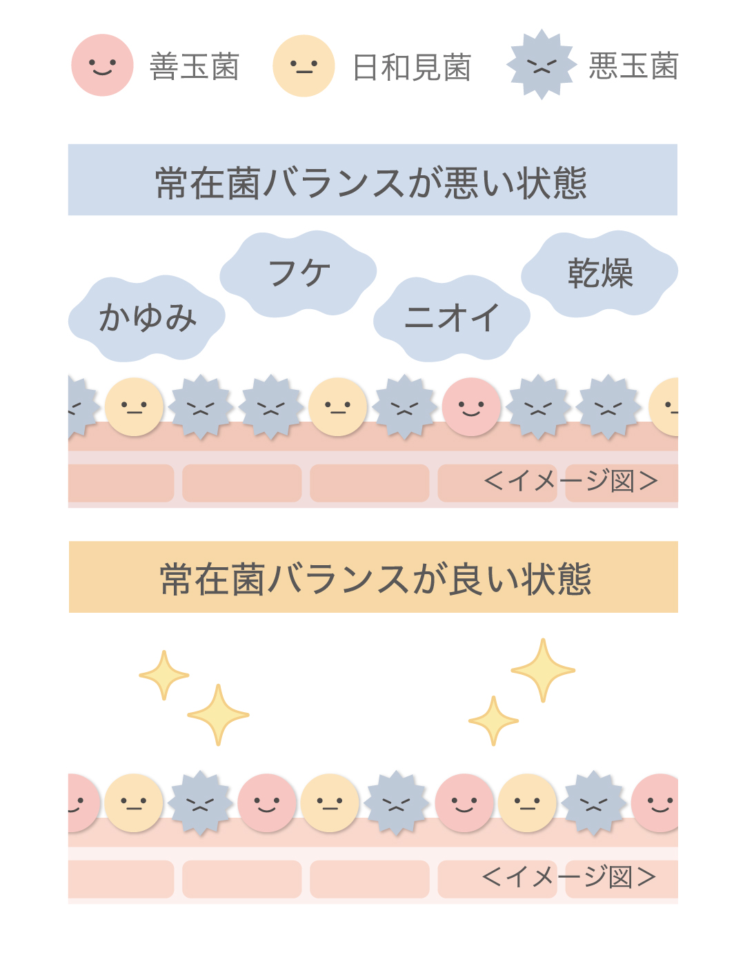 常在菌バランス_タテ