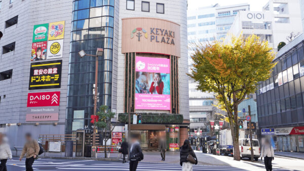 『SDGs推進 TGC しずおか 2026』大型ビジョンでプロモーション放映開始