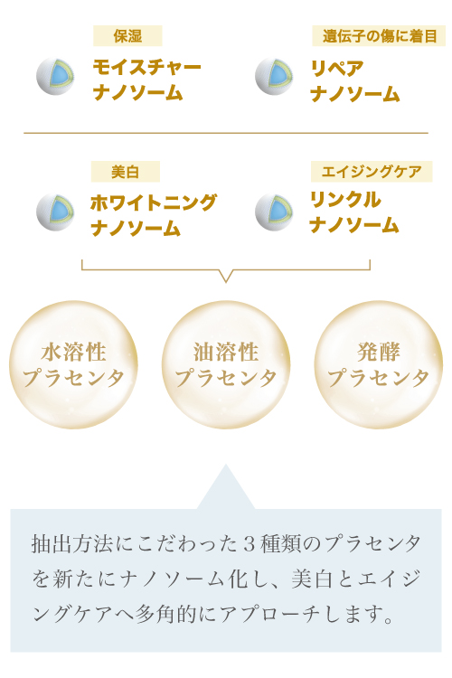 進化を遂げた2つのナノソーム