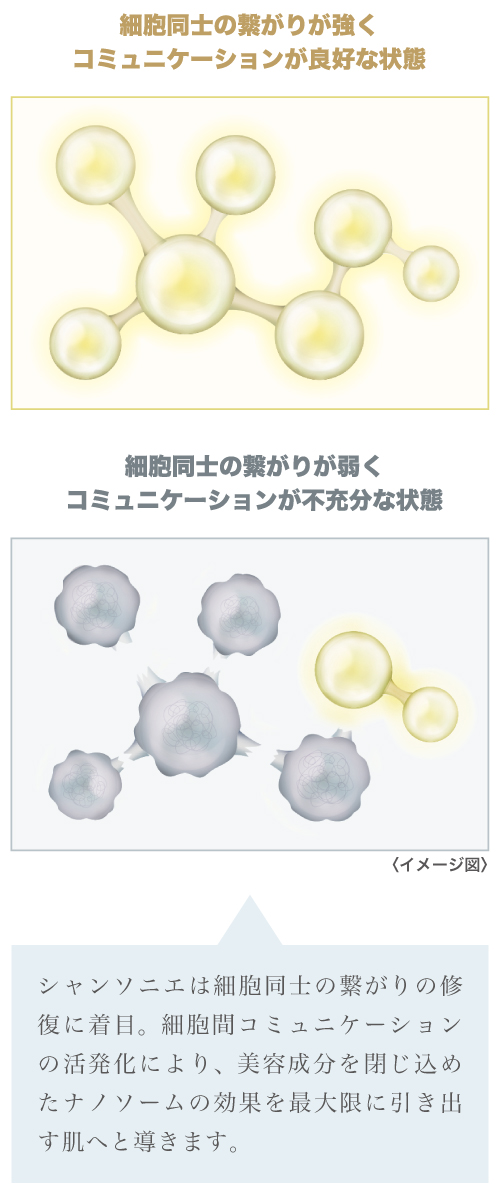 細胞間コミュニケーション