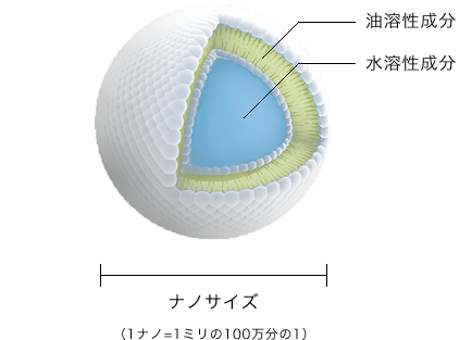 ナノソーム®の構造