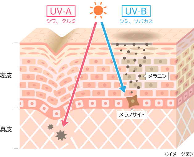 紫外線イメージ図